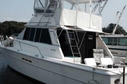 Sea Ray SRV 390 for sale in United States of America for 17.950 $ (13.651 £)
