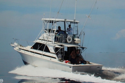 Bertram 35 Convertible II for sale in United States of America for $39,950 (£30,022)