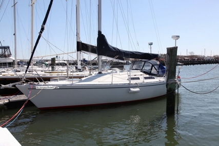 Albin 33 Nova for sale in United States of America for $23,500 (£17,659)