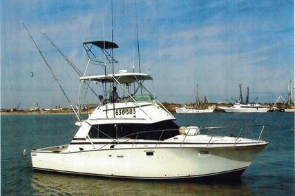 Bertram 38 for sale in United States of America for $49,900 (£39,131)