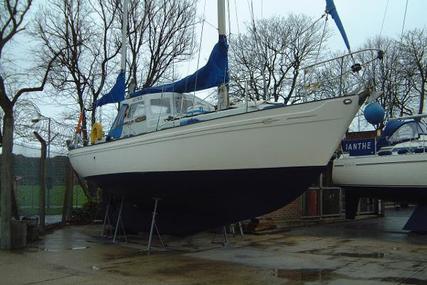 NEPTUNIAN 33 for sale in United Kingdom for £23,995