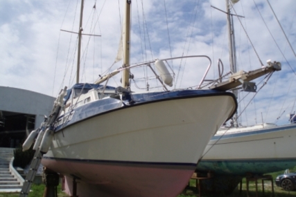 Viksund GOLDFISH 31 for sale in Portugal for €36,000 (£31,595)