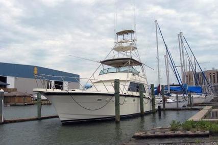 Hatteras Convertible for sale in United States of America for $97,490 (£75,098)