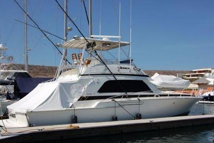 Bertram 50 Convertible for sale in Mexico for $139,000 (£107,375)
