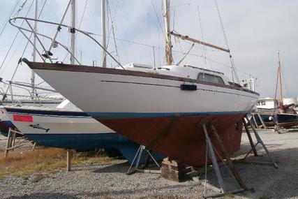 Nicholson 26 for sale in United Kingdom for £4,695
