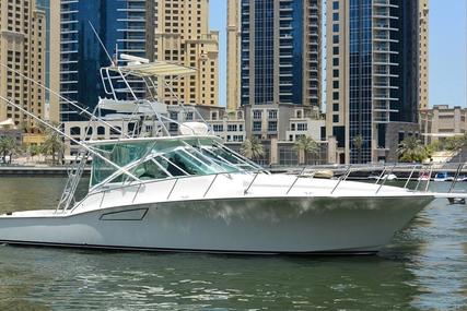 CABO 40 Express for sale in United Arab Emirates for $499,000 (£380,298)