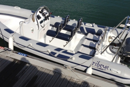 Ribeye A600 for sale in United Kingdom for £14,950