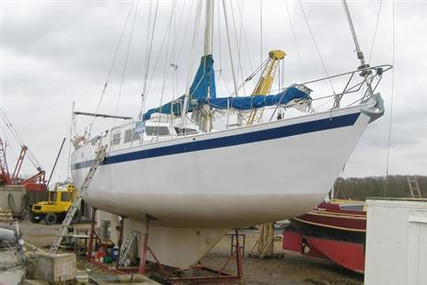 Bruce Roberts 43 for sale in United Kingdom for £39,995