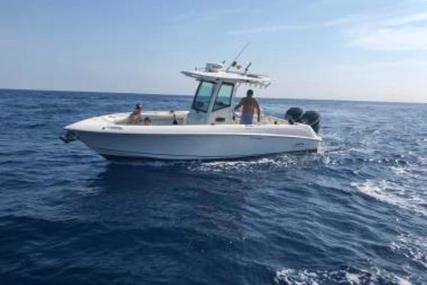 Boston Whaler 280 Outrage for sale in Spain for €120,000 (£102,051) Boston Whaler 280 Outrage for sale in Spain for €120,000 (£102,051)