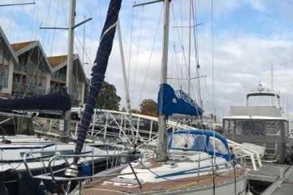 Bavaria Yachts 350 for sale in United Kingdom for £32,500