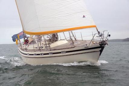 Contest 41 for sale in United Kingdom for £69,500
