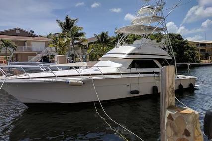 Bertram Convertible for sale in United States of America for $199,000 (£157,747)