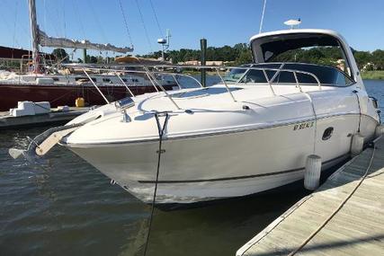 Sea Ray 310 Sundancer for sale in United States of America for $98,000 (£78,683)