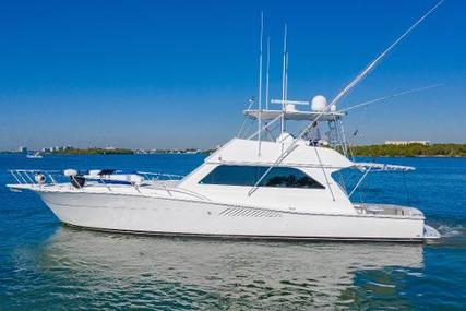 Viking Yachts Convertible for sale in United States of America for $400,000 (£304,102) Viking Yachts Convertible for sale in United States of America for $400,000 (£304,102)