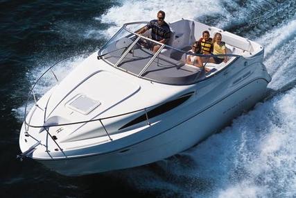 Bayliner Ciera 2655 Sunbridge for sale in United Kingdom for £25,995
