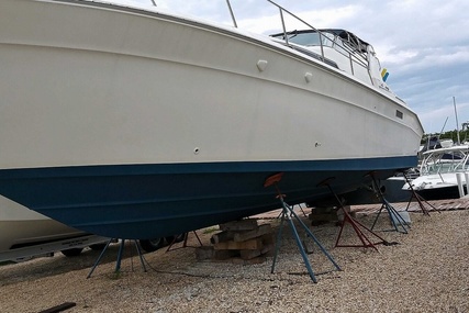 Sea Ray Sundancer for sale in United States of America for $59,000 (£48,075)