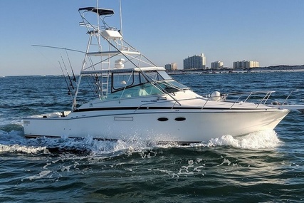 Bertram 38 Special for sale in United States of America for $55,600 (£39,835)