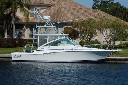 CABO 35 Express for sale in United States of America for $124,900 (£99,374)