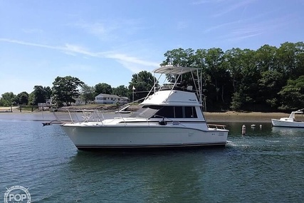 Trojan 32 Sedan Flybridge for sale in United States of America for $14,900 (£10,575)