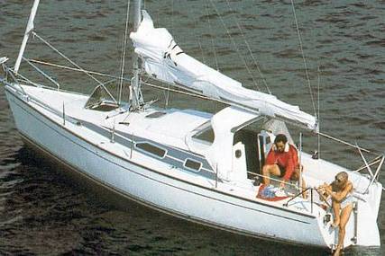 Dehler 25 CR for sale in Netherlands for €18,000 (£16,493) Dehler 25 CR for sale in Netherlands for €18,000 (£16,493)