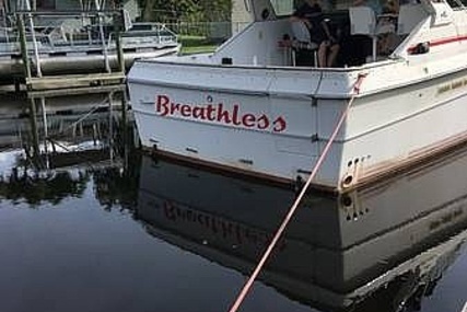 Sea Ray 390 Express Cruiser for sale in United States of America for $15,000 (£10,831)