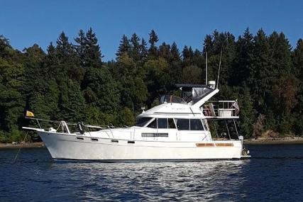 Bayliner 3818 Motoryacht for sale in United States of America for $55,000 (£43,599) Bayliner 3818 Motoryacht for sale in United States of America for $55,000 (£43,599)