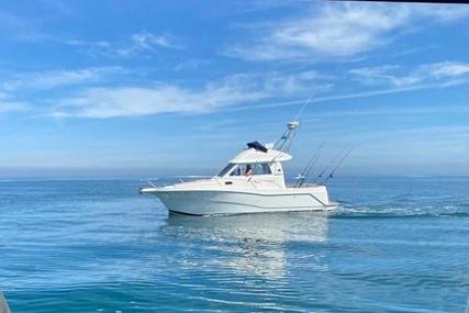 Rodman 800 for sale in United Kingdom for £44,950