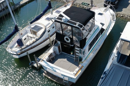 Silverton 37 Convertible for sale in United States of America for $20,750 (£16,541)