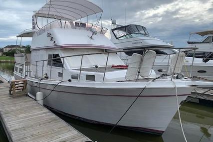 Trader Labelle for sale in United States of America for $49,500 (£39,555)