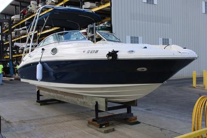 Sea Ray 240 Sundeck for sale in United States of America for $32,900 (£26,227)