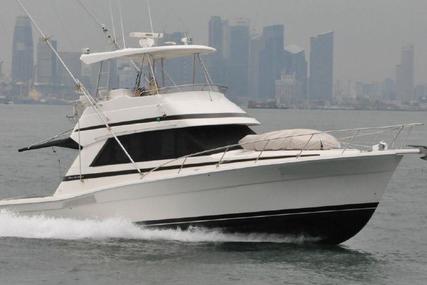 Riviera 39 Platinum for sale in Malaysia for $198,000 (£154,104) Riviera 39 Platinum for sale in Malaysia for $198,000 (£154,104)