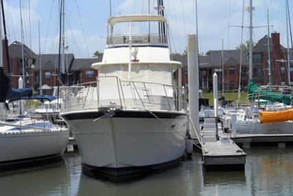 Hatteras Double Cabin for sale in United States of America for $69,000 (£53,278) Hatteras Double Cabin for sale in United States of America for $69,000 (£53,278)