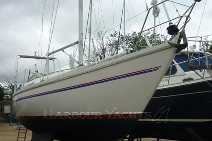 Sadler 29 for sale in United Kingdom for £24,950