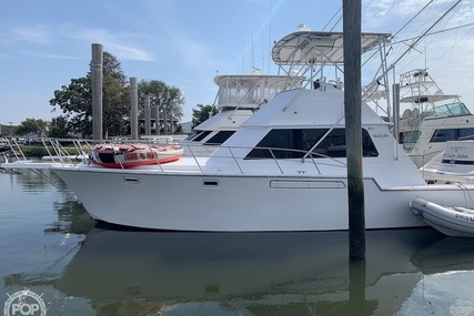 Blackfin 39 for sale in United States of America for $49,500 (£35,542)