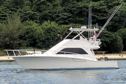 CABO 40 Flybridge for sale in Singapore for $450,000 (£326,869)