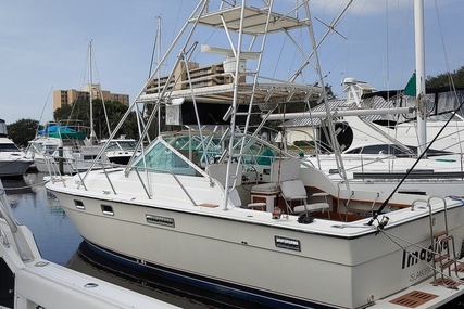 Tiara 3100 Open for sale in United States of America for $32,500 (£23,753) Tiara 3100 Open for sale in United States of America for $32,500 (£23,753)