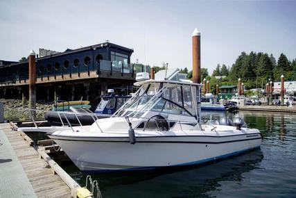 Grady-White 272 Sailfish WA for sale in Canada for P.O.A. Grady-White 272 Sailfish WA for sale in Canada for P.O.A.