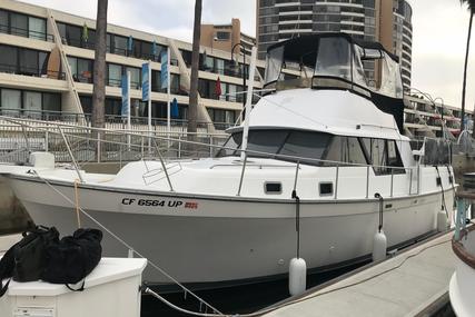 Mainship 36 for sale in United States of America for $34,999 (£25,226)