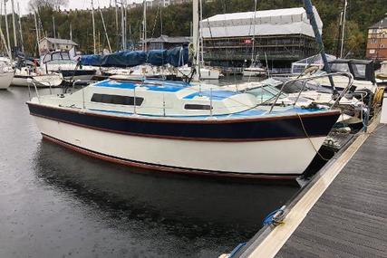 Custom Samspeed for sale in United Kingdom for £9,995