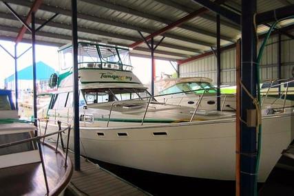 Bayliner 3870 for sale in United States of America for $64,900 (£46,247)
