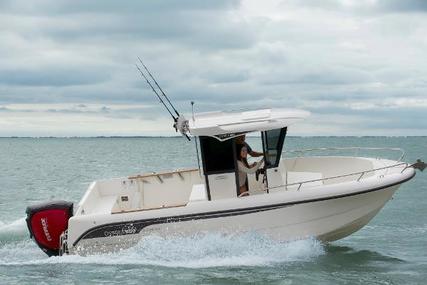 Ocqueteau Ostrea 600 for sale in United Kingdom for £43,000