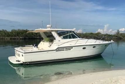 Tiara 41 Open for sale in United States of America for $289,900 (£209,898)