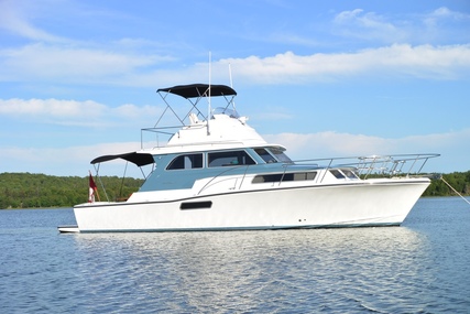 Bertram Sport Fisherman for sale in United States of America for $479,000 (£343,246)