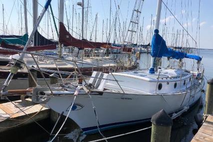Herreshoff for sale in United States of America for $40,000 (£28,957)