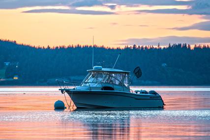 Grady-White Marlin for sale in United States of America for $270,000 (£202,604) Grady-White Marlin for sale in United States of America for $270,000 (£202,604)