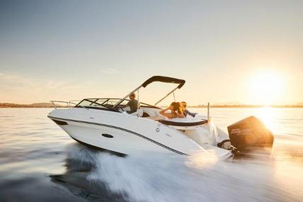 Sea Ray Sun Sport 230 Outboard for sale in Ireland for €76,500 (£65,775)