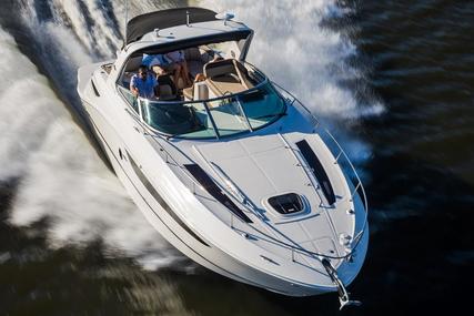 Sea Ray 350 Sundancer for sale in United States of America for $239,999 (£171,021)