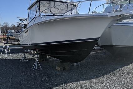 Luhrs Tournament 290 Open for sale in United States of America for $41,900 (£30,394)