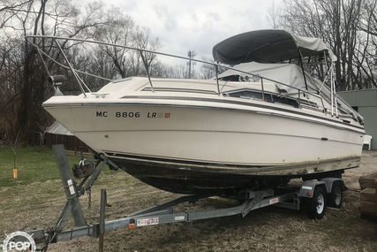Sea Ray 24 for sale in United States of America for $13,900 (£10,083)