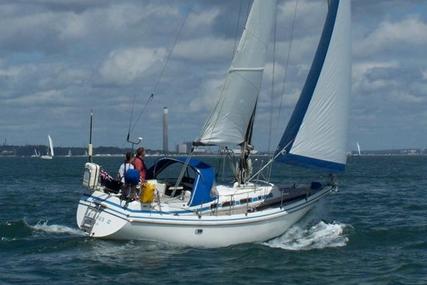 Contest 34 for sale in United Kingdom for £28,000